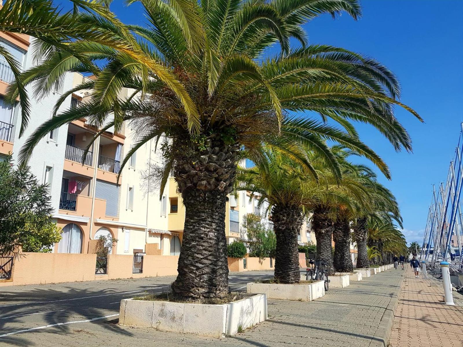 T2 Sur Le Port Avec Parking Apartman Gruissan Kültér fotó
